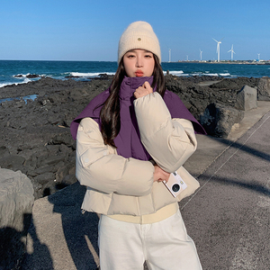 冬季现货  50白鸭绒潮牌短款羽绒服9862 P200控298图片