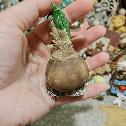中古二手