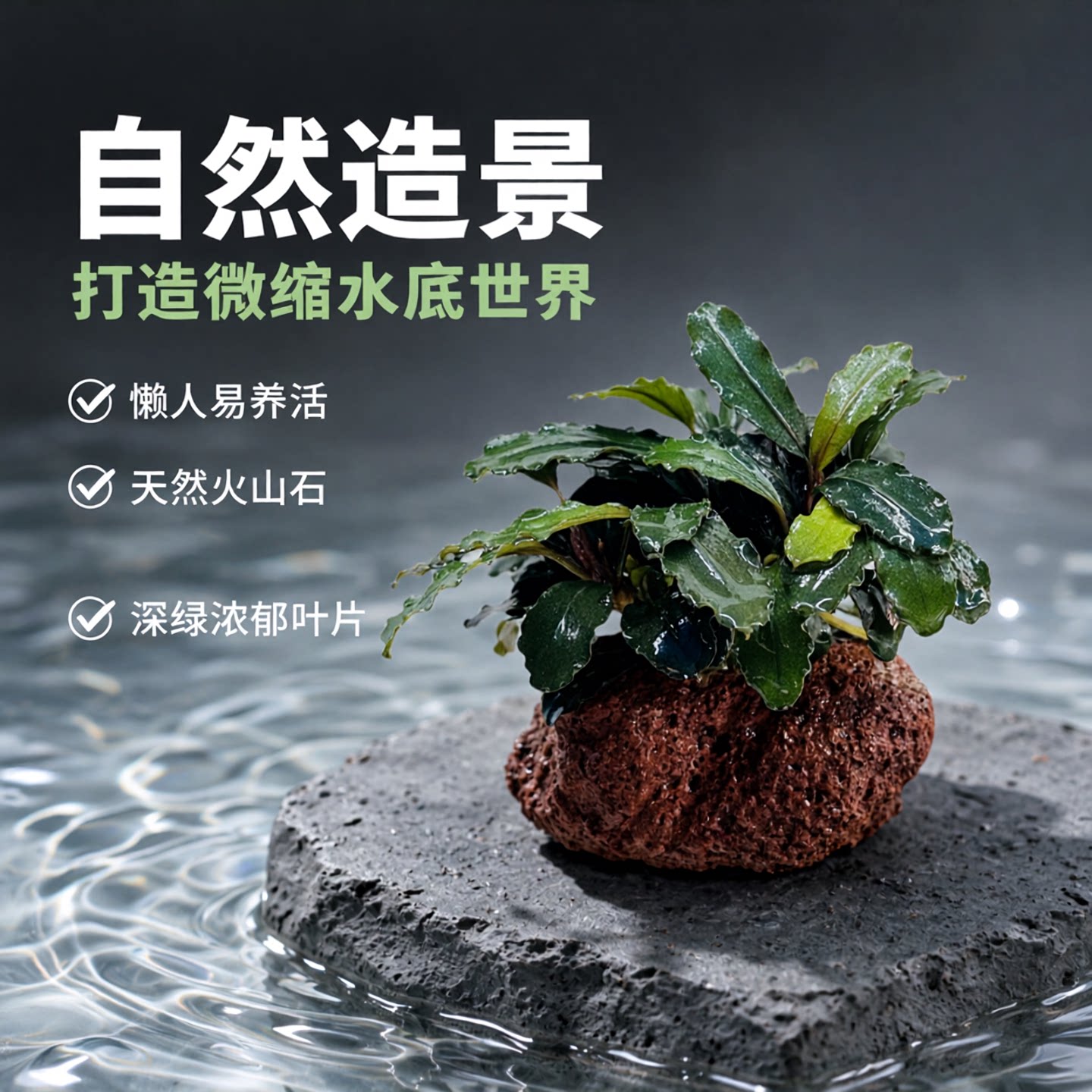 火山石水榕水草植物鱼缸造景摆件水培植物阴性真草懒人水草易养活