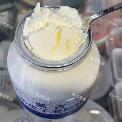 内蒙古特产赛汗苏奶皮子酸奶维聪奶皮酸奶传统低温酸奶非干噎冷萃