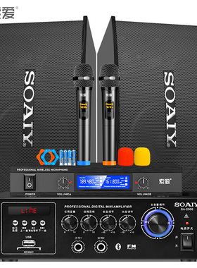 索爱 CK-M66V家庭影院KTV音响家用商用办公会议卡拉ok客厅电视K歌