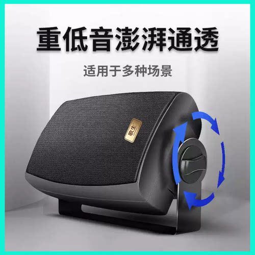 歌生壁挂音响高保真喇叭会议室