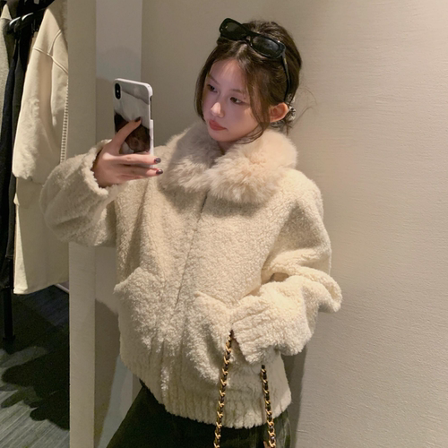 高级感韩系羊羔毛加厚保暖外套