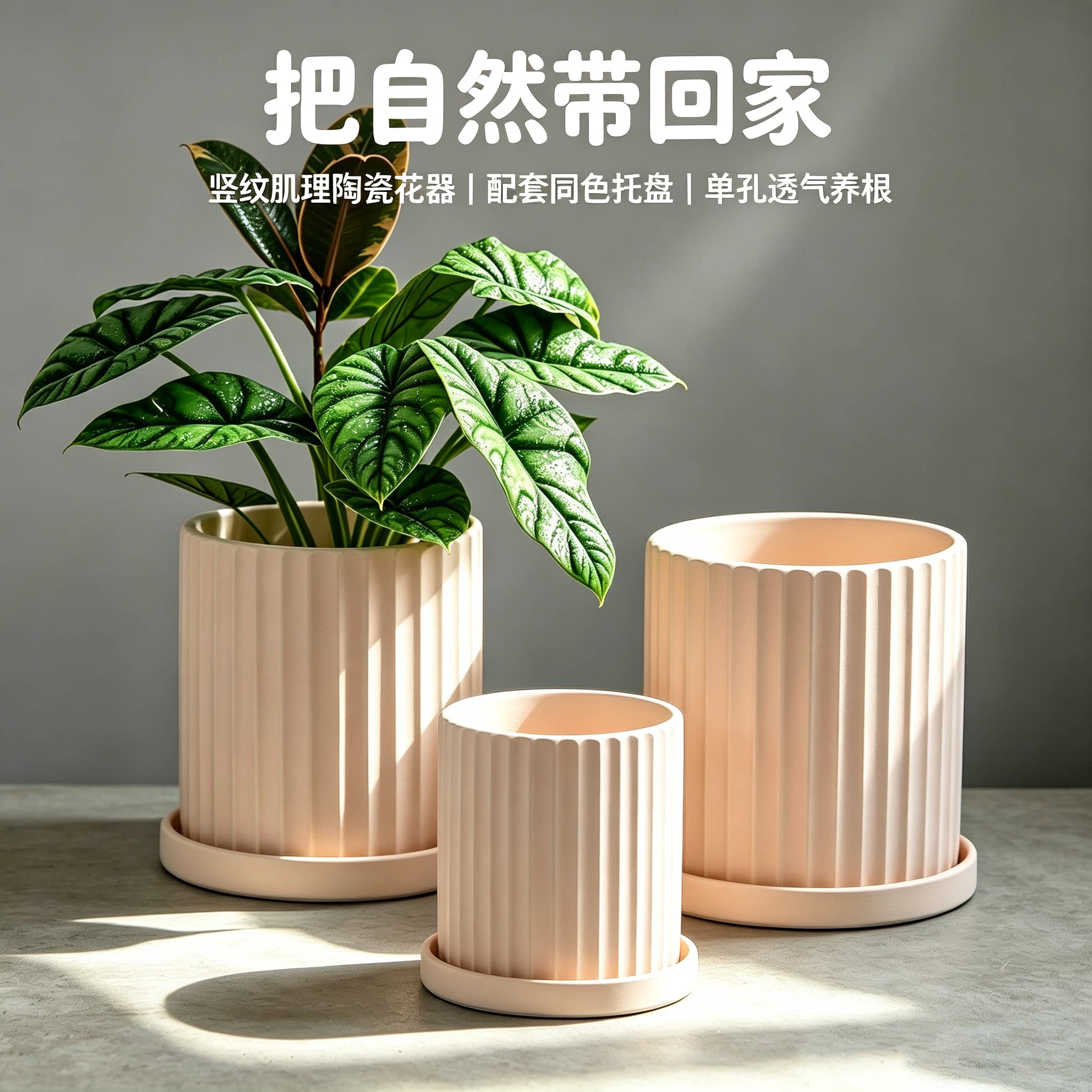 粗陶花盆圆形直筒落地北欧风素烧陶土盆竖纹客厅桌面绿植透气盆栽