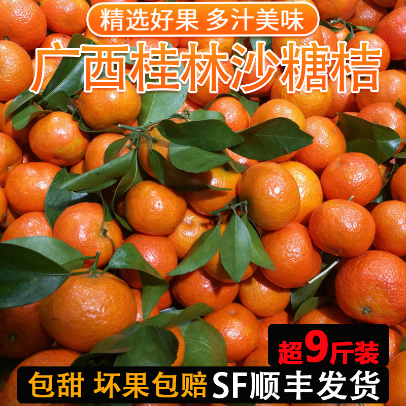 广西桂林新鲜现摘不打蜡不催熟沙糖橘蜜桔小橘子孕妇水果整箱超甜