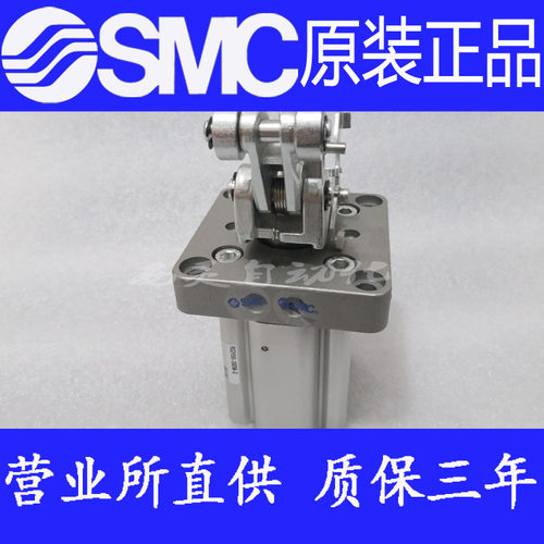 RS2H63-30DL 30DM 30BL 30BM 30TL 30TM-D原装SMC正品重载型气缸