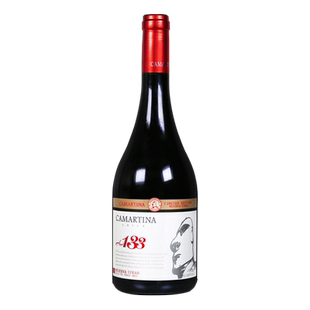卡门A133西拉干红葡萄酒商务宴请原瓶进口智利红酒