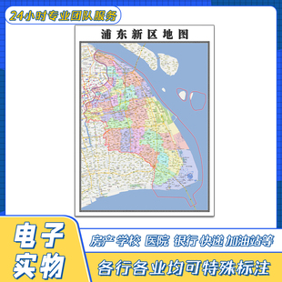 浦东新区地图贴图上海市交通路线行政区划颜色划分高清街道