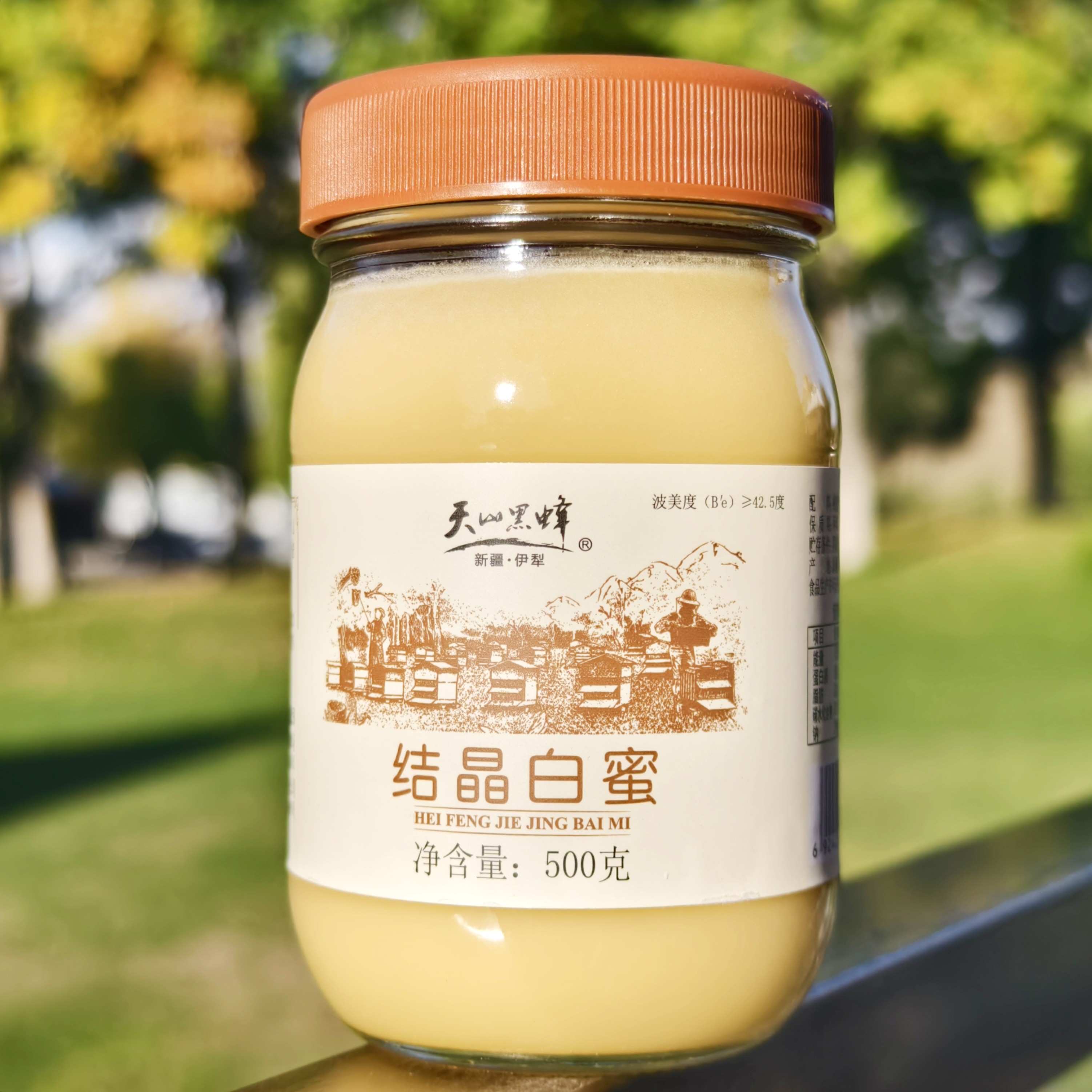 新疆天山蜂蜜结晶雪蜜伊犁黑蜂蜂蜜500g玻璃瓶（拍2发3）
