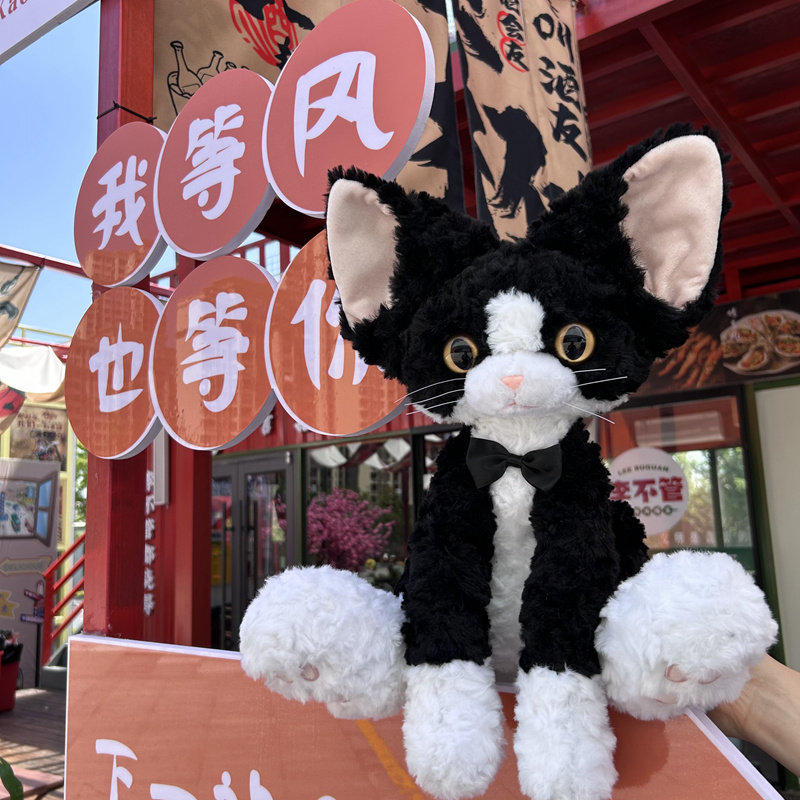 可爱呆萌德文卷毛黑猫公仔玩偶毛绒玩具猫咪安抚生日礼物摆件女孩