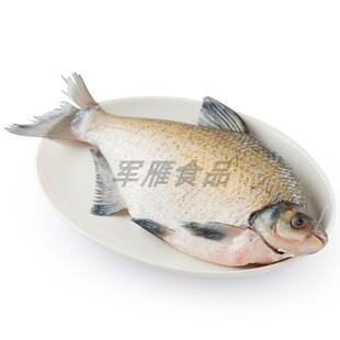 顺丰发货新鲜鳊鱼扁鱼武昌鱼淡水河鱼现杀现发货1/2/3斤 活鱼运输