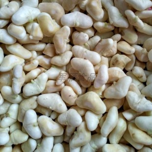 顺丰发货2025洪湖新鲜冰冻小老菱角野生小菱角米仁老菱角米