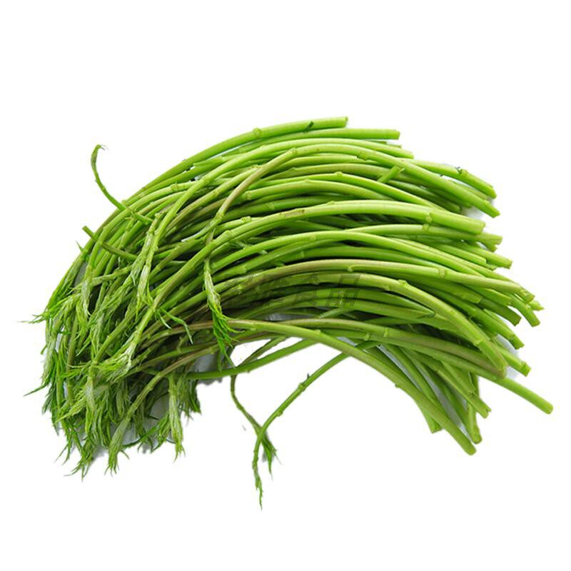 当季黎蒿新鲜芦蒿篱蒿去叶净菜农家野生蔬菜野菜藜蒿鲜嫩泥蒿蓠蒿