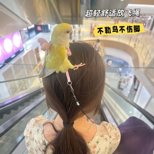 鹦鹉放飞绳外出牵引绳超轻玄凤牡丹遛鸟神器用品鸟驯养外带防飞绳