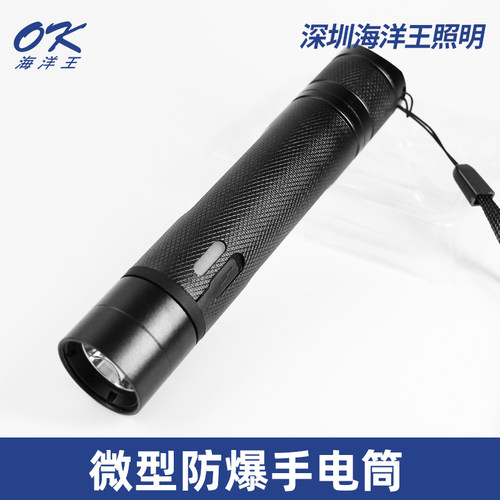 海洋王微型消防加油站露营手电筒
