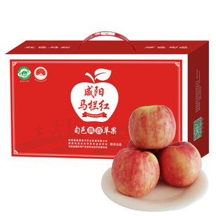 【秦脆】旬邑马栏红典西苹果8枚飞机礼盒脆甜爽口