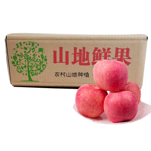 【富士】旬邑马栏红典西苹果9枚≥70mm快递专用箱 脆甜多汁