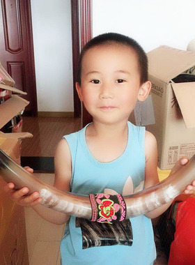 客厅桌面摆件对角真牛角