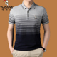 中年休闲POLO衫 啄木鸟桑蚕丝翻领短袖 半袖 冰丝条纹大码 T恤男薄款