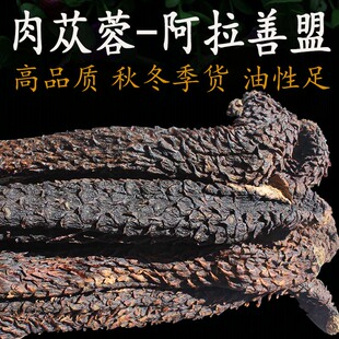 内蒙古阿拉善盟整枝肉苁蓉正品中药材特大棒鲜干片锁阳泡酒沙漠宝