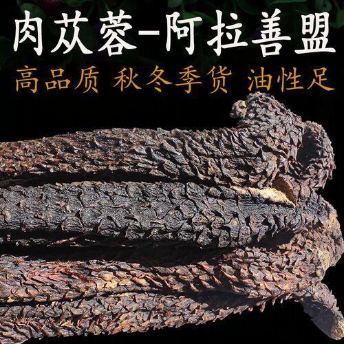 真阿拉善油苁蓉整枝发货