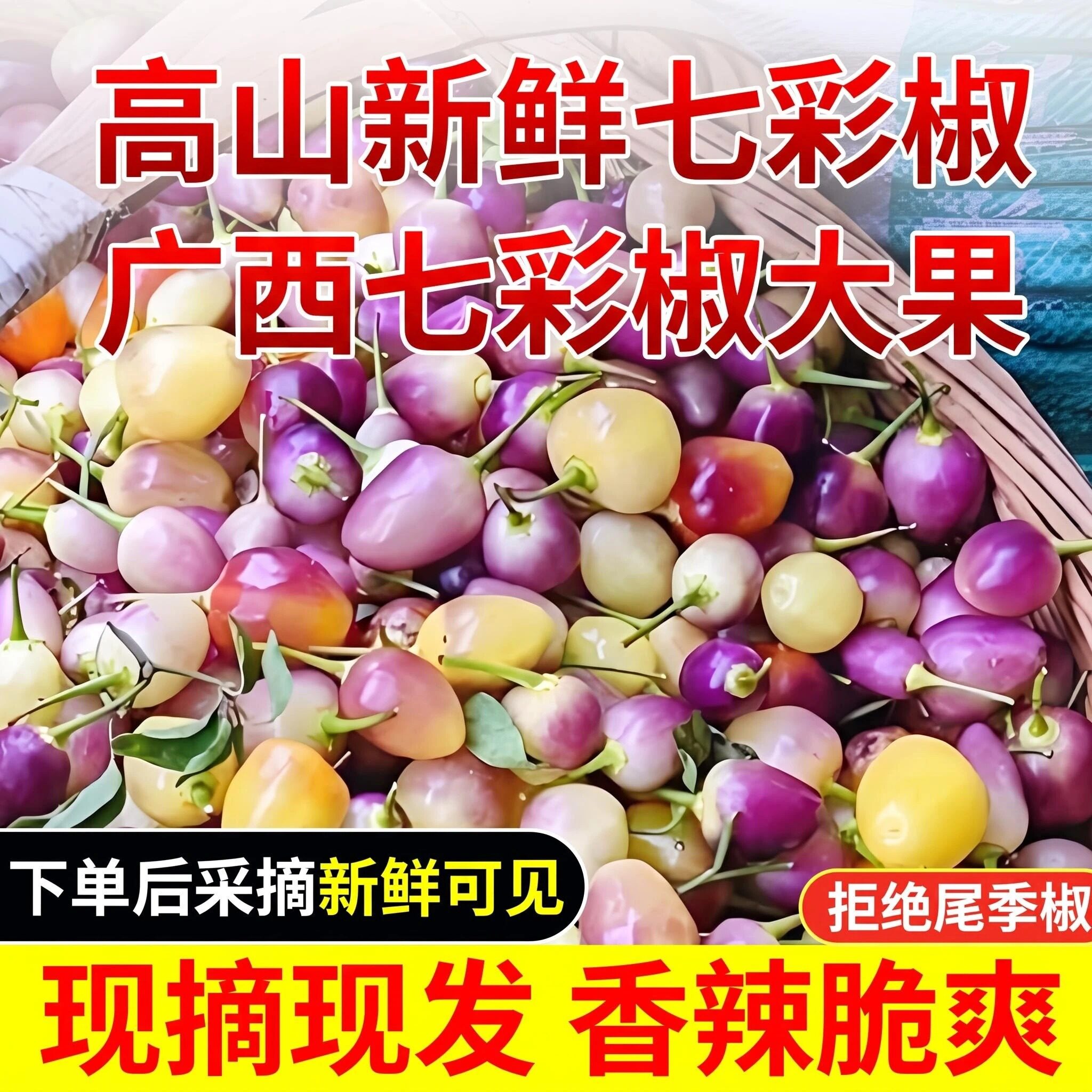 【现摘大果】新鲜七彩辣椒广西五彩椒大果椒灯笼辣椒可腌制泡椒