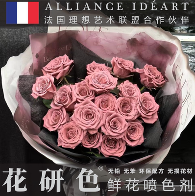 花研色 鲜花喷漆喷色剂染色剂  花艺专用