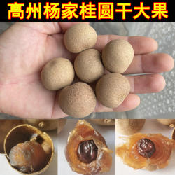 桂圆干高州大果肉厚核小龙眼干货香甜泡水即食新品杨家包邮500g