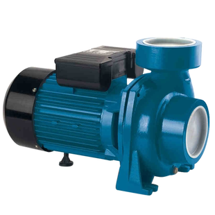 大元离心管道泵卧式220V农用灌溉抽水机高杨程大流量增压泵IQ