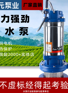 大元不锈钢潜水泵220V第七代家庭生活用水水泵农田灌溉水泵QDX型