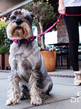 QZee哥本哈根防爆冲Freestyle牵引绳DOGCopenhagen柴犬边牧遛狗绳