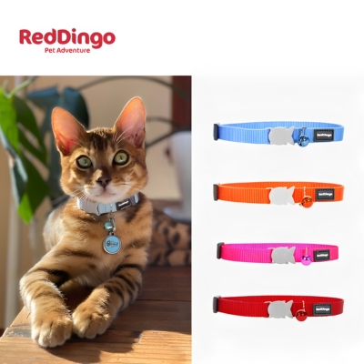 澳洲Reddingo防窒息猫项圈瑞鼎狗尼龙铃铛安全扣防丢猫咪脖圈美短