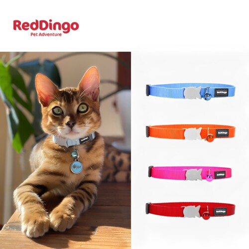 Reddingo真尼龙防窒息猫项圈防丢