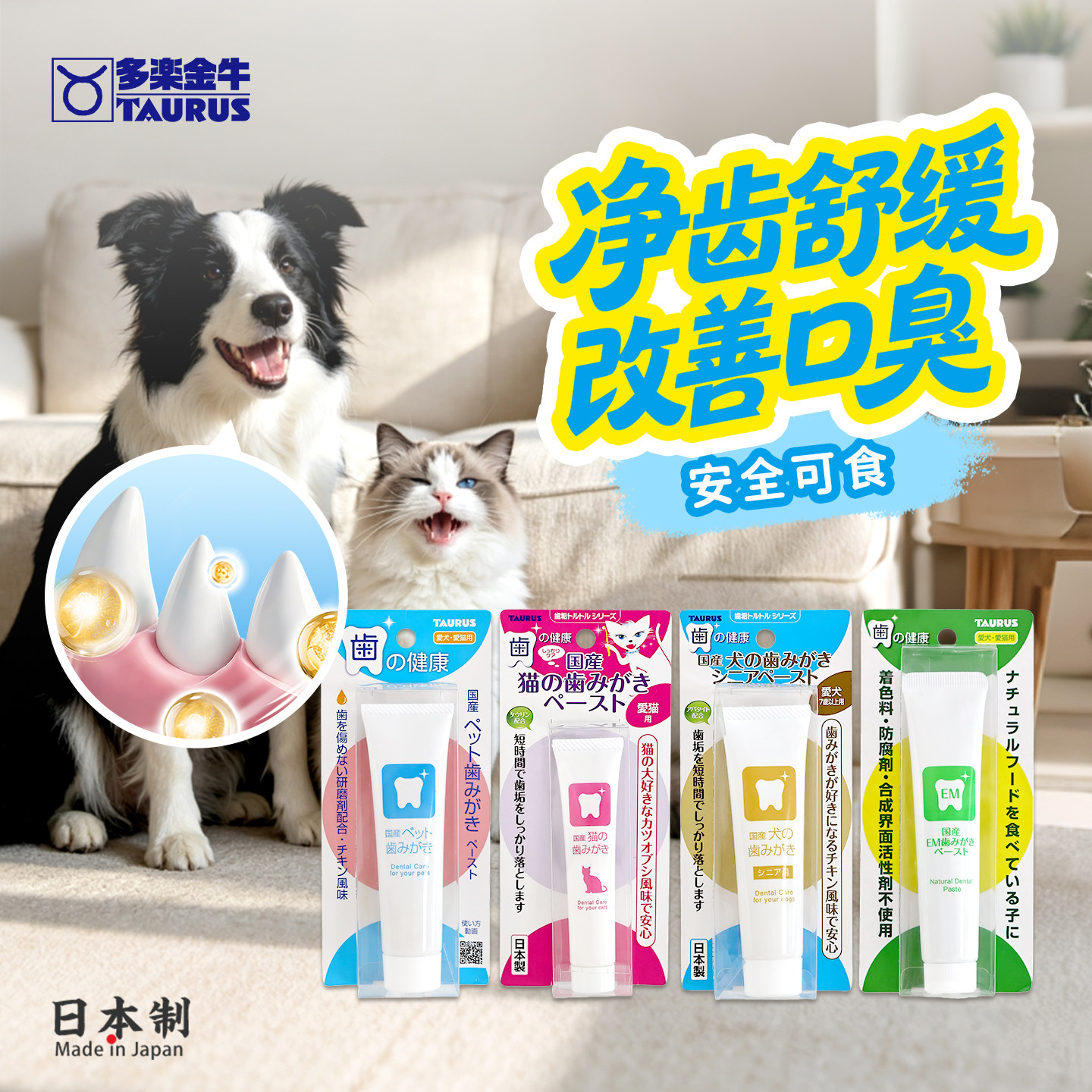 TAURUS宠物牙膏牙刷套装除口臭