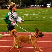 QZee工字胸背ZeeDog&Reebok狗狗H型背心小中大型犬金毛边牧牵引