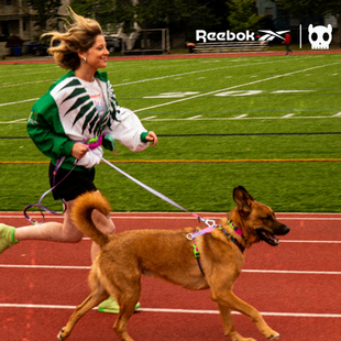 QZee工字胸背ZeeDog&Reebok狗狗H型背心小中大型犬金毛边牧牵引