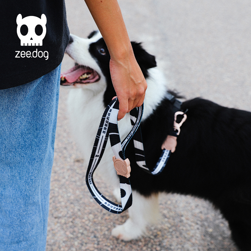 美国zeedog中国限定款狗狗牵引绳