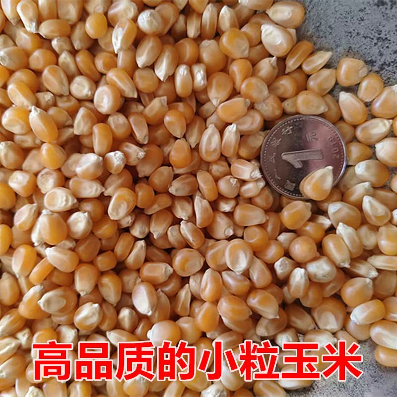 2025新小粒玉米蝶形爆花玉米炒锅就能爆花玉米电影院商用家用玉米