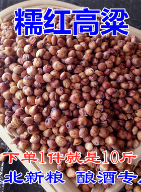 新红高粱糯红高粱米带皮糯高粱去壳黏糯红高粱酿酒专用糯红高粱