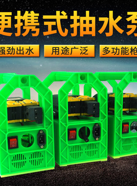 玉兴12V伏家用农用充电式自吸抽水泵户外打药泵抽水机洗车泵浇菜