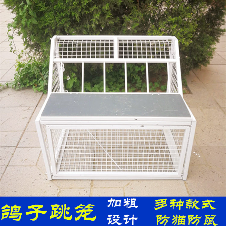 鸽子跳笼鸽子用品用具信鸽赛鸽踏板撞门草窝跳笼鸽舍进口放飞跳笼