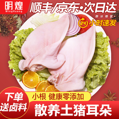 【京东顺丰包邮】新鲜土猪耳朵