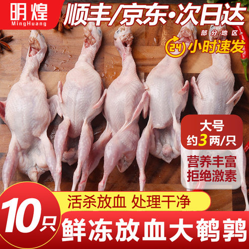新鲜大鹌鹑鹌鹑肉小鹌鹑鸟活体现杀放血烧烤食材鹌鹑冻鲜特大商用