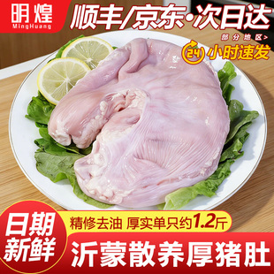 猪肚新鲜猪肚批发整只猪肚商用生鲜肚猪肚子生猪肚新鲜批发猪内脏