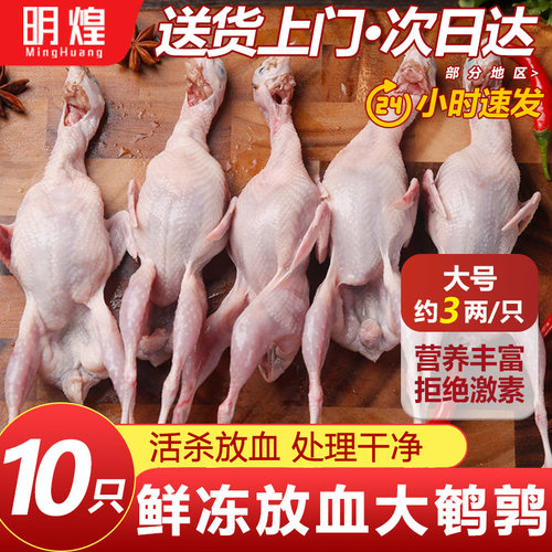新鲜大鹌鹑鹌鹑肉小鹌鹑鸟活体现杀放血烧烤食材鹌鹑冻鲜特大商用