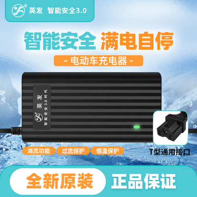英发电动车原装充电器