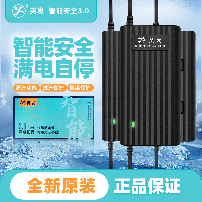 充电器英发智能安全电动车