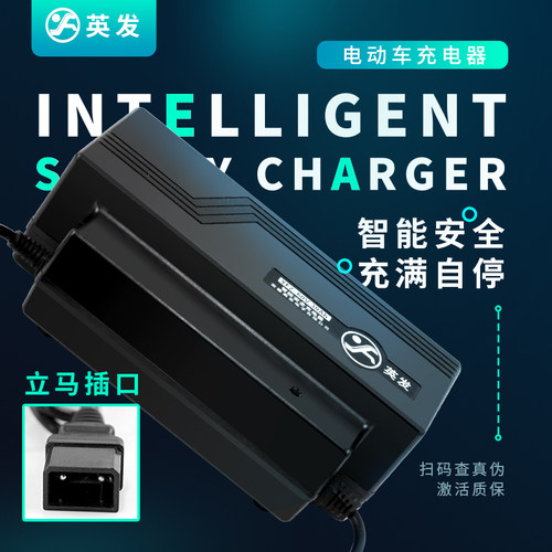 英发充电器立马专用插头