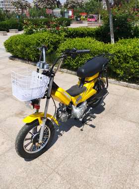 燃油四冲程70 110cc摩托车建设zongshen发动机外卖钓鱼休闲房车用