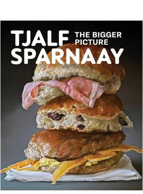 【预售】蒂亚尔夫斯帕纳伊Tjalf Sparnaay英文艺术家艺术工作室Karin van Lieverloo精装Waanders9789462625266